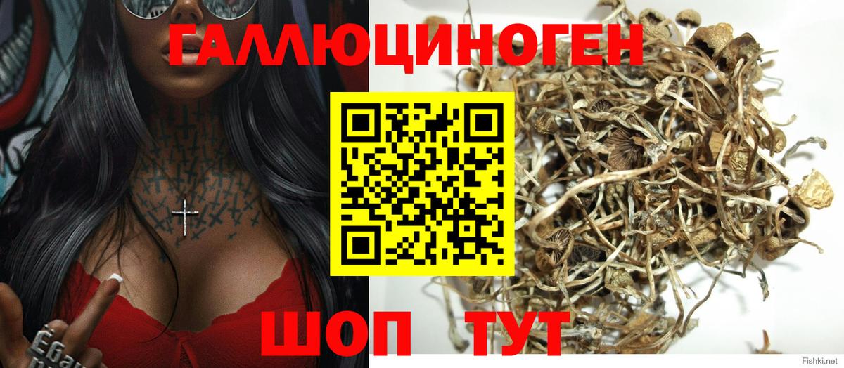 Лабинск  Псилоцибиновые грибы мицелий  Вход с VPN 