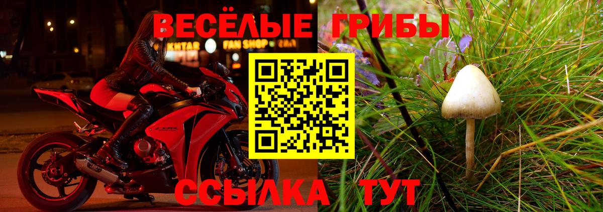 Псилоцибиновые грибы GOLDEN TEACHER Лабинск